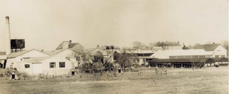 1953 Picture of Tanyard Site at the bottom of Bury Hill