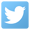 Twitter-icon